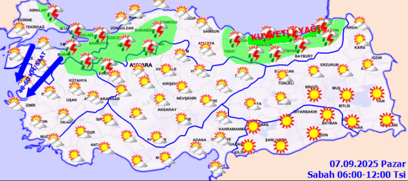 screenshot-2025-09-07t071822-302.png