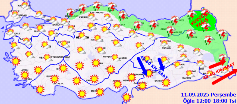 screenshot-2025-09-11t070923-854.png