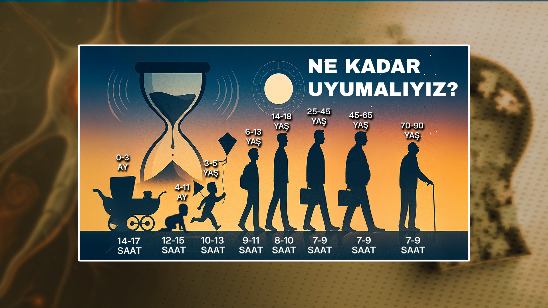 kelebek-4-uyku-suresi-infografigi.png
