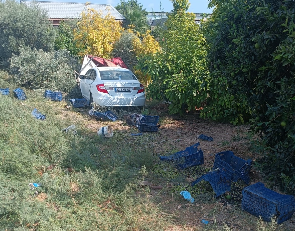 aa-20250927-39242712-39242710-mersinde-otomobilin-zeytin-toplayan-iscilere-carptigi-kazada-1-kisi-oldu-3-kisi-yaralandi.jpg