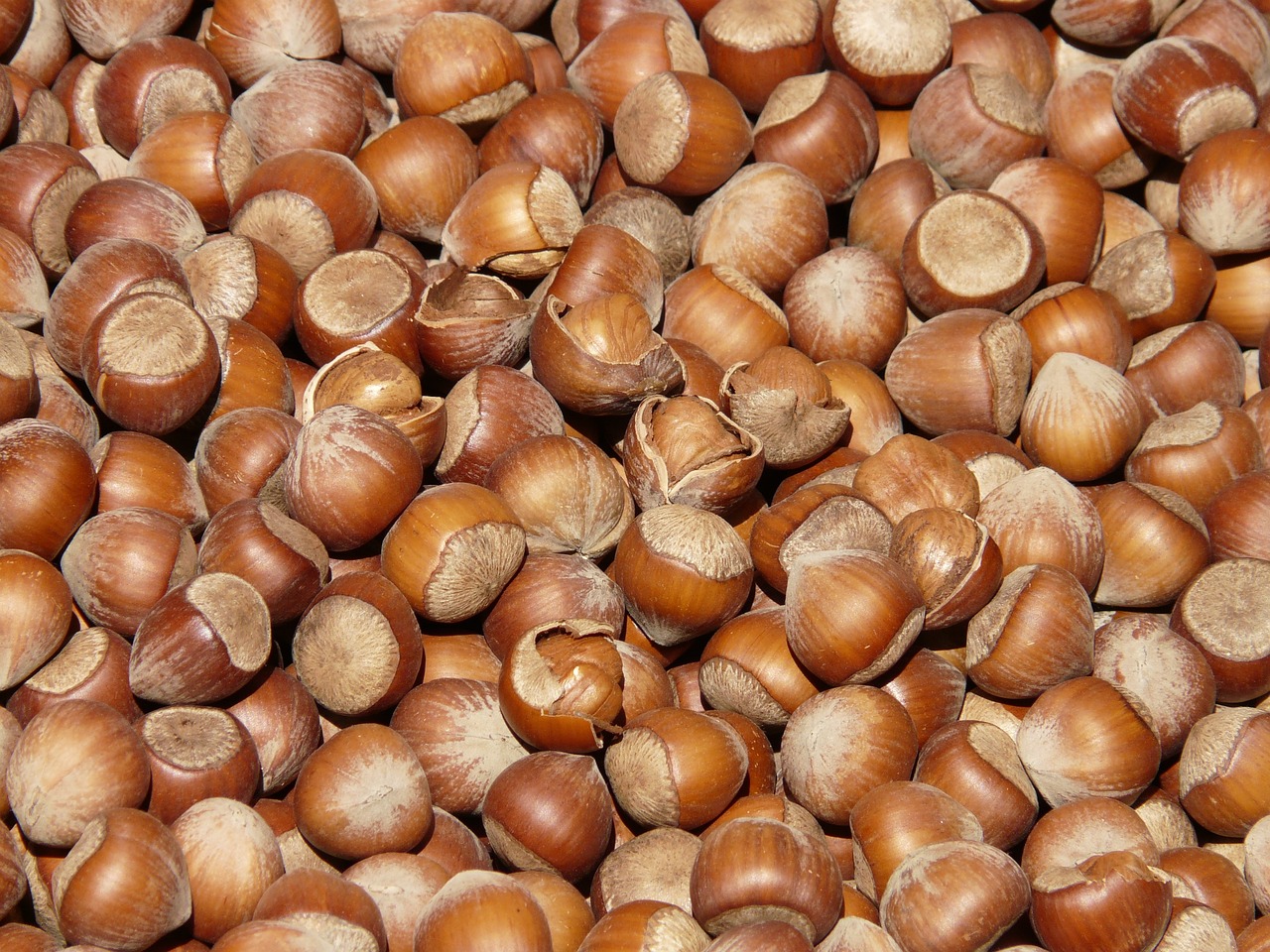 findik-findik-fiyati-73940-1280.jpg